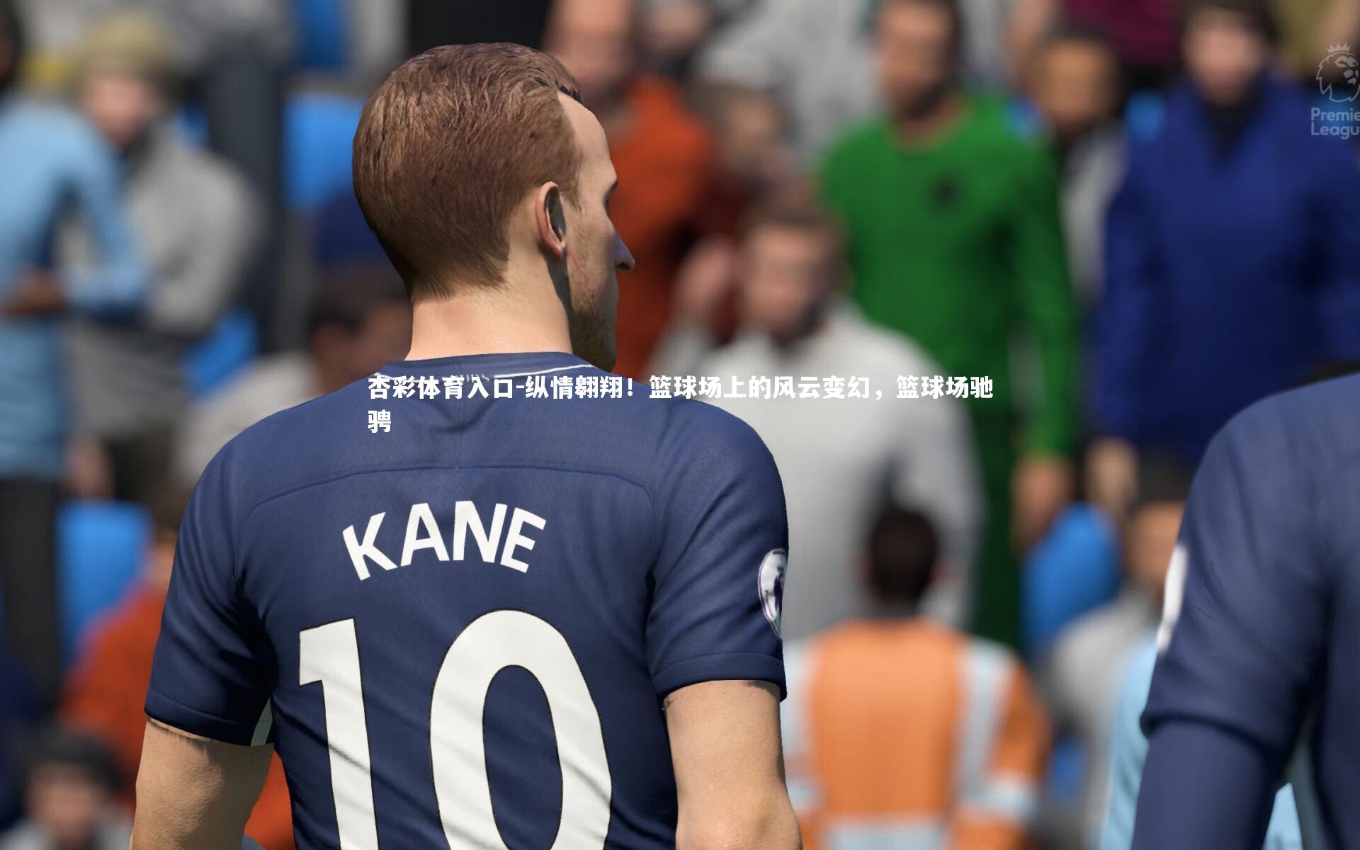 纵情翱翔!篮球场上的风云变幻,篮球场驰骋