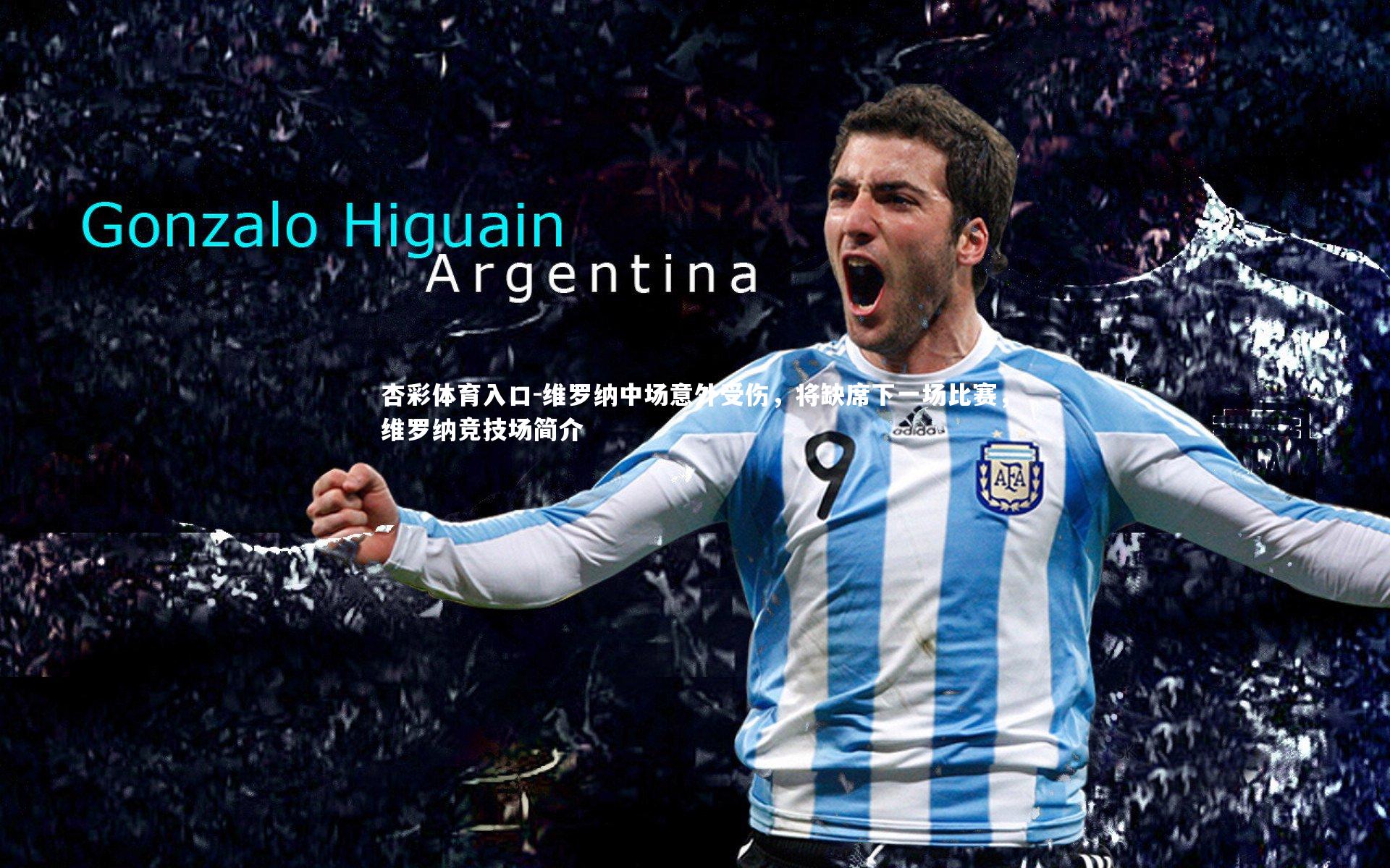 维罗纳中场意外受伤,将缺席下一场比赛,维罗纳竞技场简介