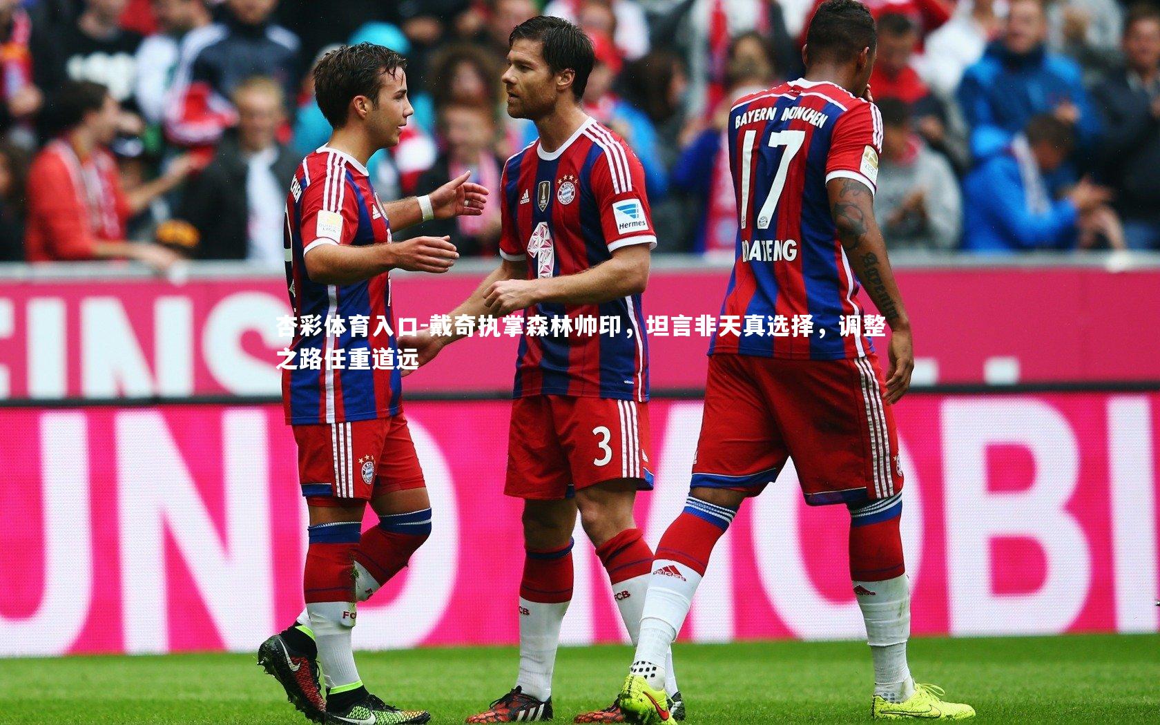 戴奇执掌森林帅印，坦言非天真选择，调整之路任重道远